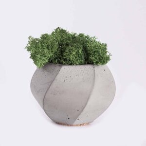 Home plant4 free img